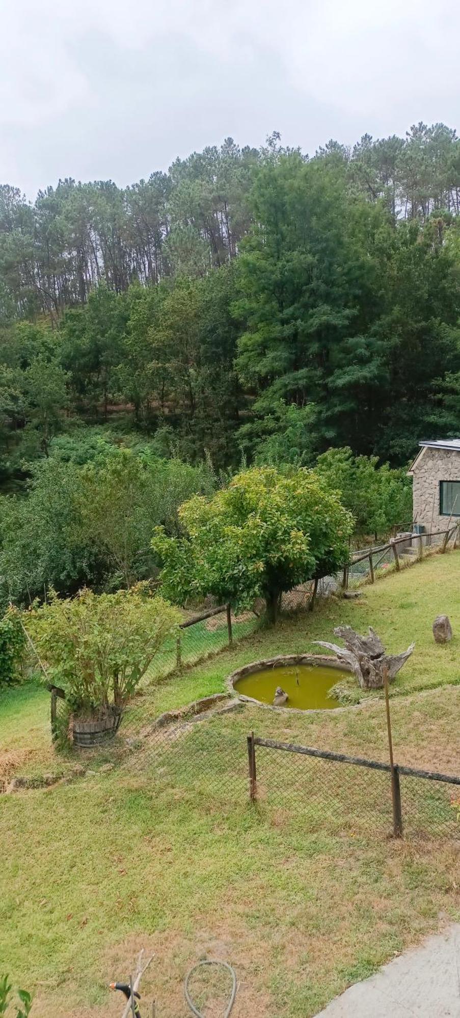 Villa Eido Benito Mondariz Exterior foto